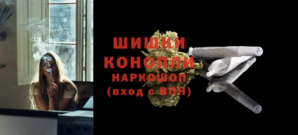 молекула духа Бронницы