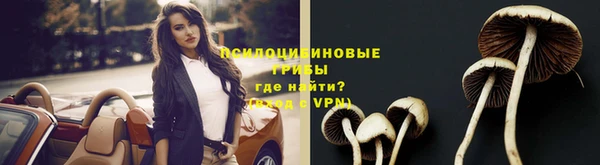 молекула духа Бронницы