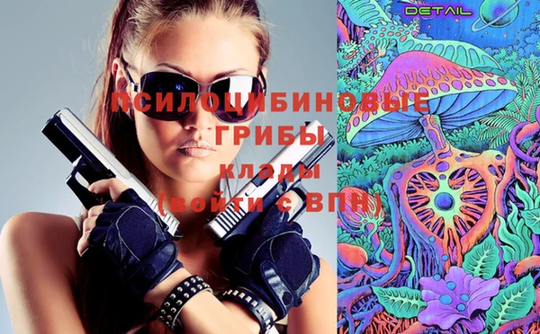 соль курить ск Бородино