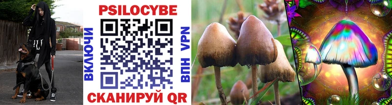 Галлюциногенные грибы прущие грибы  как найти   Монино 